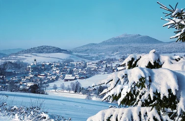 Lam im Winter Alternativtext (Alt-Attribute)