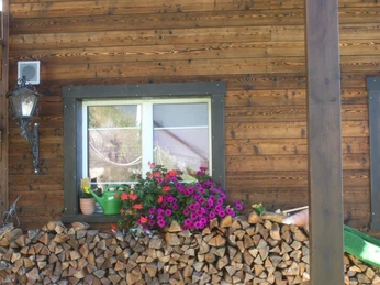 sommerbild blumenfenster - Kopie