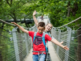 baumwipfelpfad-bad-harzburg