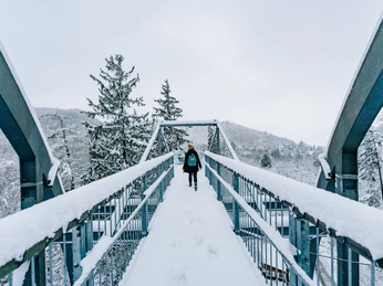 baumwipfelpfad-bad-harzburg