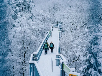 baumwipfelpfad-bad-harzburg baumwipfelpfad-bad-harzburg