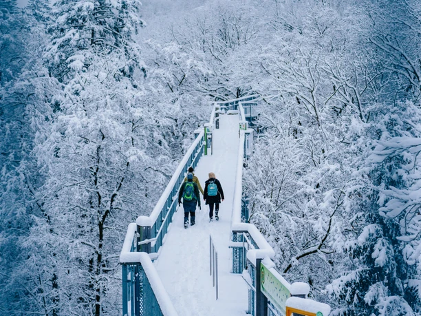 baumwipfelpfad-bad-harzburg