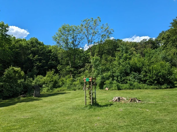 Grillplatz Hube Grüne Wiese mit Feuerstelle und Wegweiser, umgeben von dichtem Wald unter blauem Himmel.