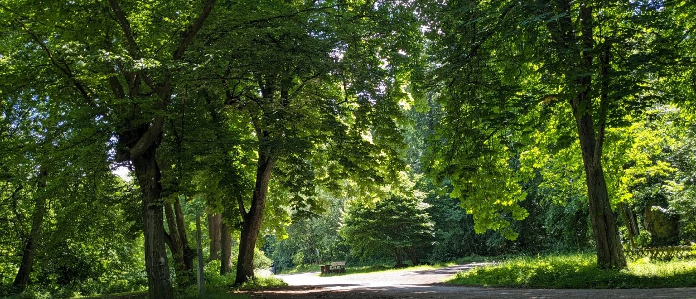 Hube_Parkplatz_CC-BY_Einbeck Tourismus (3).jpg