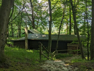 Königsstuhlhütte Holzhütte im Wald mit schmalem Steinpfad und Geländer, umgeben von dichtem grünen Laub.