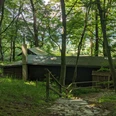 Königsstuhlhütte Holzhütte im Wald mit schmalem Steinpfad und Geländer, umgeben von dichtem grünen Laub.Wooden hut in the forest with a narrow stone path and railings, surrounded by dense green foliage.Træhytte i skoven med en smal stensti og rækværk, omgivet af tæt grøn bevoksning.Houten hut in het bos met een smal stenen pad en hekwerk, omringd door dicht groen gebladerte.
