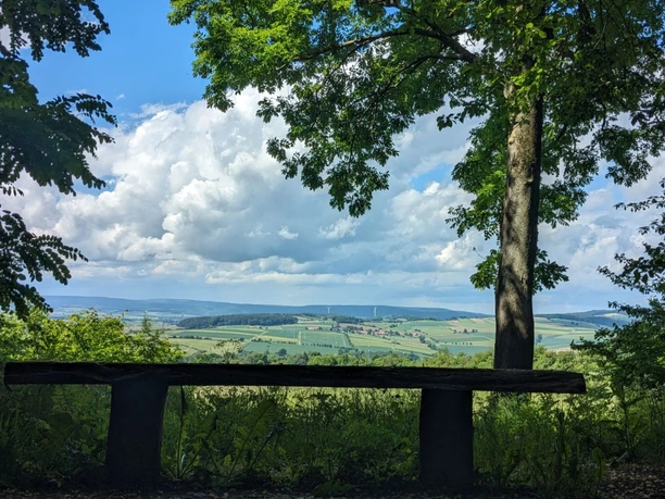 Königsstuhlhütte Ausblick Holzbank am Waldrand mit Blick über Felder, Hügel und weitläufige Landschaft unter Wolkenhimmel.