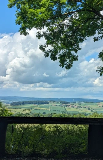 Königsstuhlhütte_Ausblick Holzbank am Waldrand mit Blick über Felder, Hügel und weitläufige Landschaft unter Wolkenhimmel.