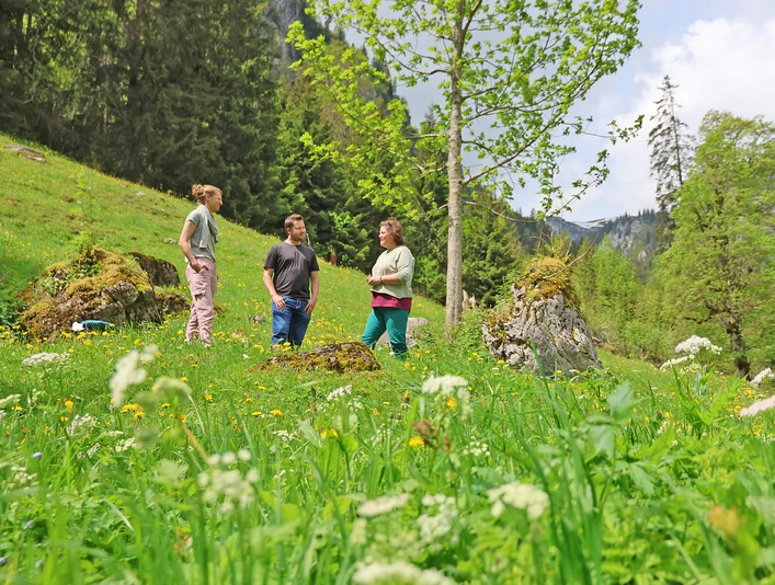 Zeitinsel in der Natur Zeitinsel in der NaturIsland of time in natureUn îlot de temps dans la nature