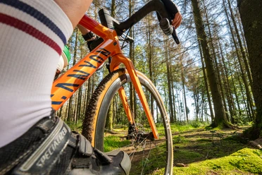 Gravelbike Ein orangefarbenes Gravelbike fährt durch einen moosbedeckten Wald, umgeben von dichten Bäumen.