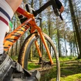 Gravelbike Ein orangefarbenes Gravelbike fährt durch einen moosbedeckten Wald, umgeben von dichten Bäumen.