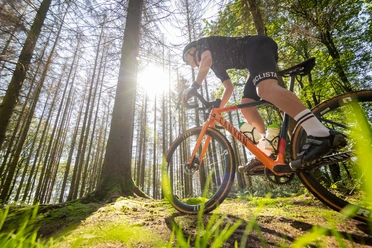 Gravelbike Ein Radfahrer auf einem Mountainbike fährt bei Sonnenschein durch einen dichten, grünen Wald.