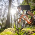 Gravelbike Ein Radfahrer auf einem Mountainbike fährt bei Sonnenschein durch einen dichten, grünen Wald.