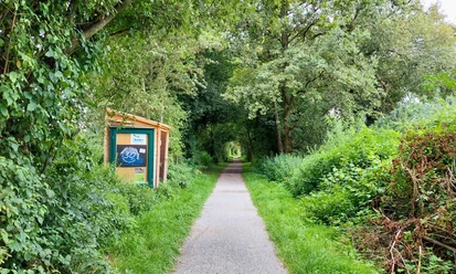 NaturschutzgebietFüllenbruch_CC_BY_SA_BadSalzuflen_KerstinPaar.jpg Ein schmaler, von dichtem Grün umrahmter Weg führt durch den Wald des Naturschutzgebiets Füllenbruch.