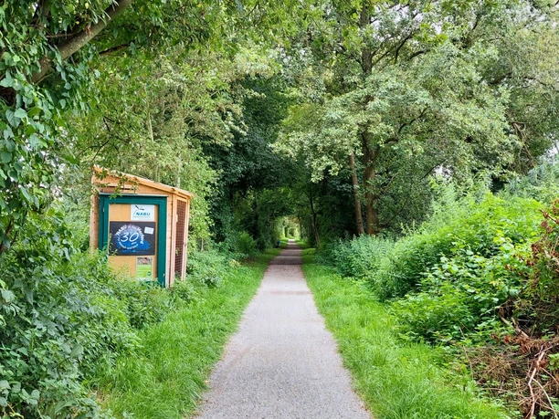 Ein schmaler, von dichtem Grün umrahmter Weg führt durch den Wald des Naturschutzgebiets Füllenbruch.