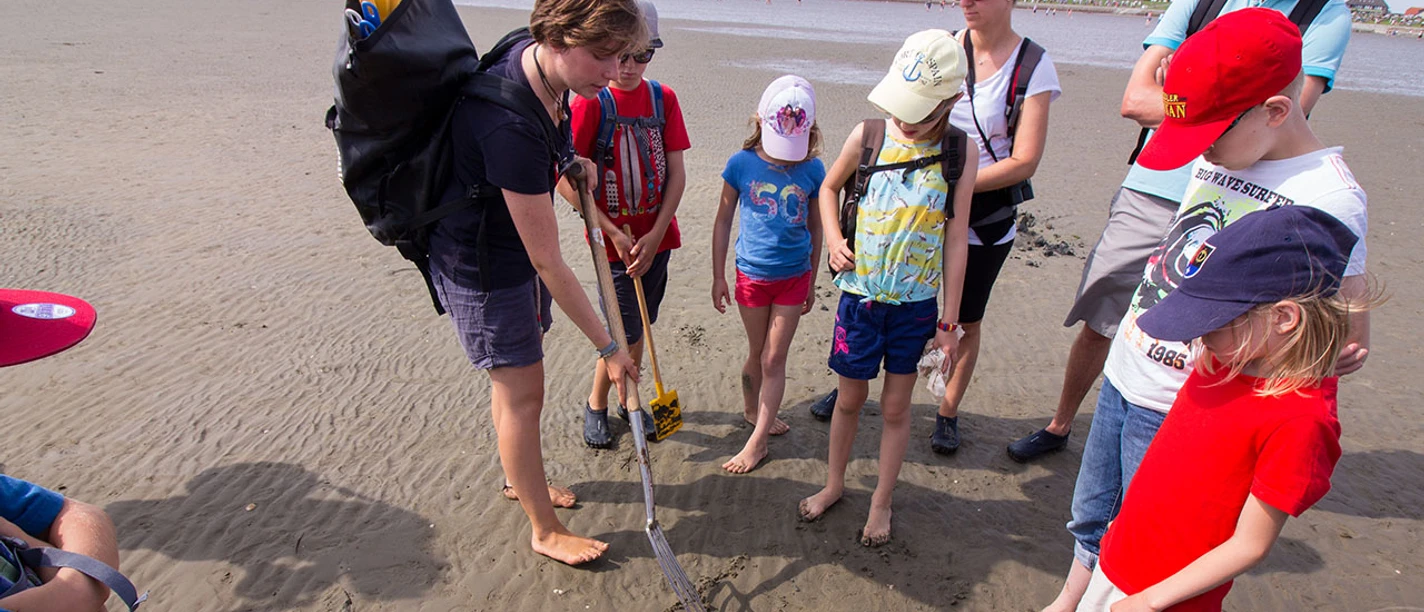 buesum-wattwanderung-schutzstation-1280x720
