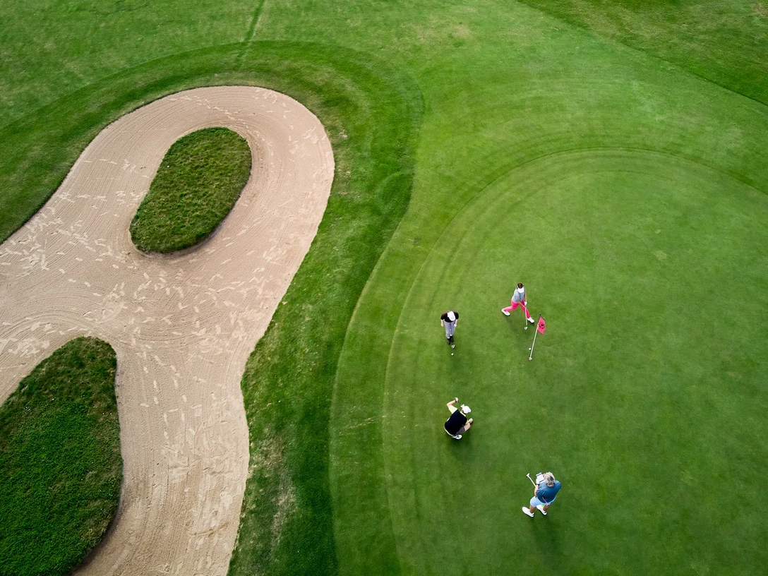 Grün 14 nah.jpeg.jpg