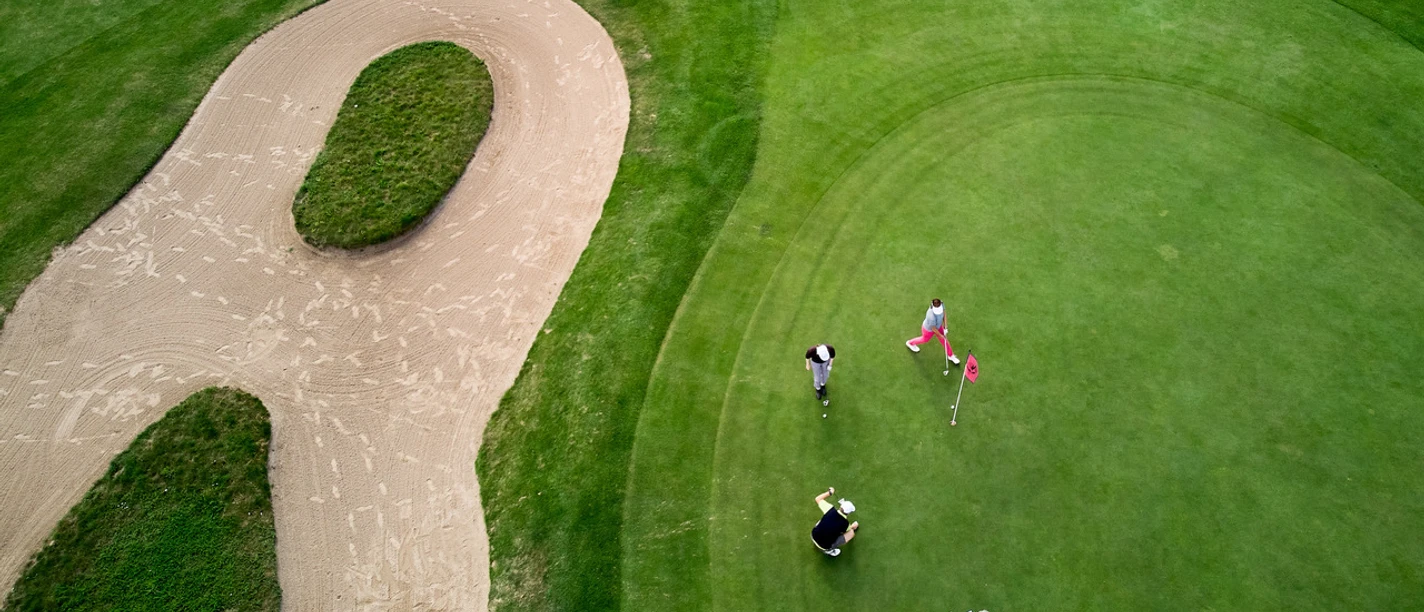 Grün 14 nah.jpeg.jpg