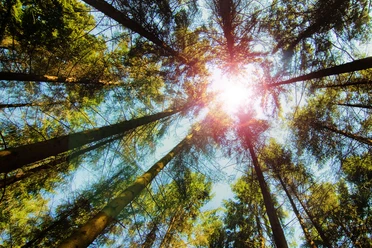 naturerlebnisraumarias