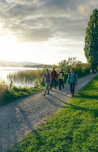 Seeuferweg Hallwilersee