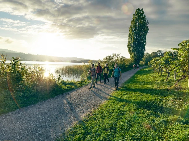 Seeuferweg Hallwilersee