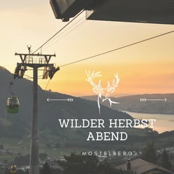 Abendfahrt Herst