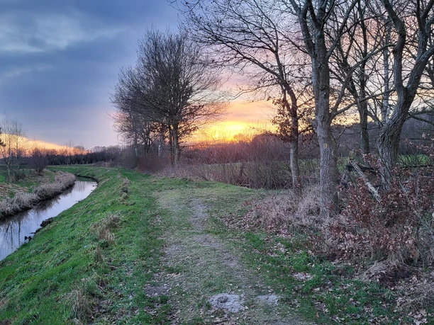 Sögel_Hümmling-Pfad_Kurfürsten-Runde_Nordradde 02 ©Naturpark Hümmling.jpg Sonnenuntergang über einem Feldweg an der Nordradde mit kahlen Bäumen und ruhigem Wasserlauf.