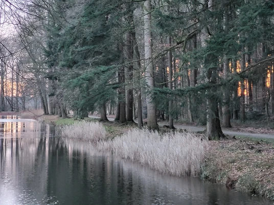 Sögel_Hümmling-Pfad_Kurfürsten-Runde_Schlossteich 03 ©Naturpark Hümmling.jpg