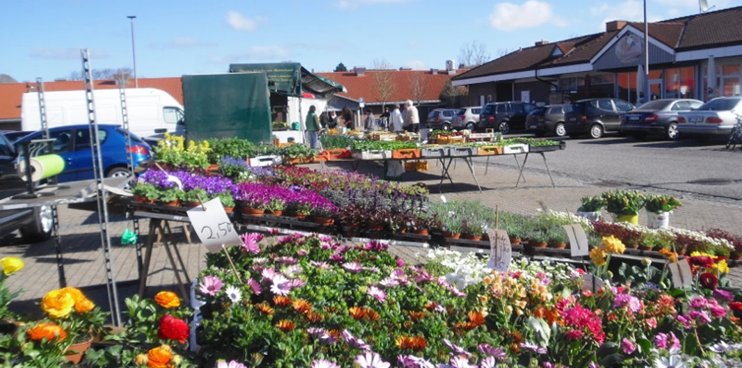 Wochenmarkt_2.JPG