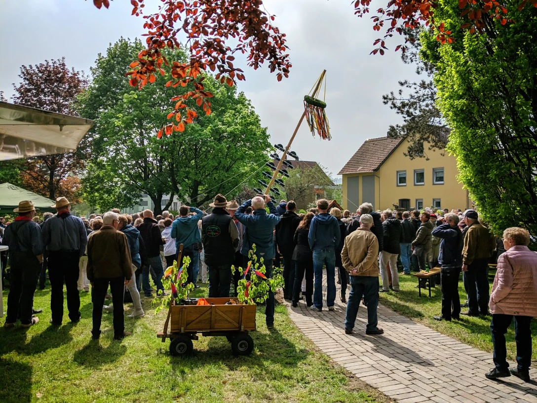 Maibaum_aufstellen.jpg Menschenmenge bei einer Maibaumaufstellung in einem Park, umgeben von Bäumen und bunten Blättern.