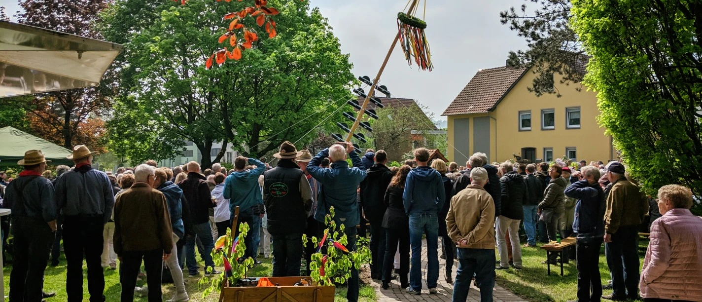 Maibaum_aufstellen.jpg Menschenmenge bei einer Maibaumaufstellung in einem Park, umgeben von Bäumen und bunten Blättern.