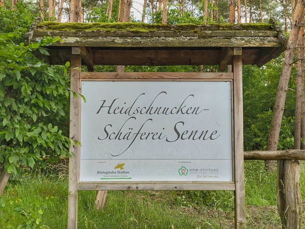 Holzschild mit Aufschrift "Heidschnucken-Schäferei Senne" vor grünem Wald im Hintergrund.