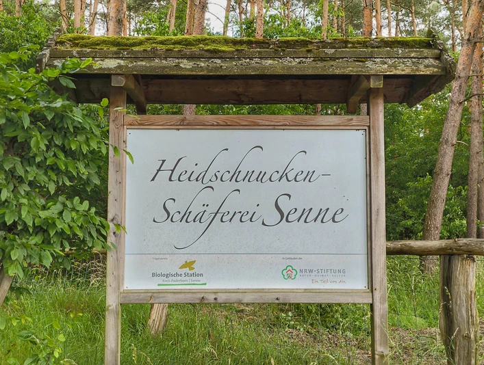 Heidschnuckenschäferei Senne Holzschild mit Aufschrift "Heidschnucken-Schäferei Senne" vor grünem Wald im Hintergrund.