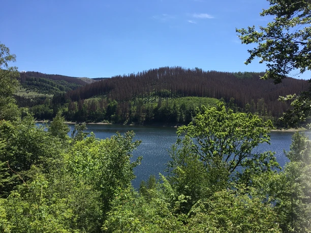 Blick auf die Sösetalsperre in Osterode am Harz
