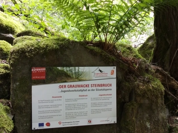 Steinbruch an der Sösetalsperre in Osterode am Harz