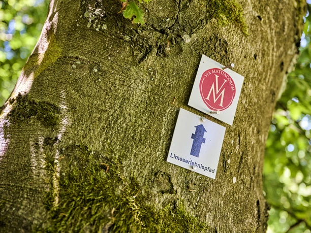 Zwei Qualitätswege: Via Mattiacorum und Limeserlebnispfad