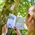 Die Wanderbroschüre gibt Tipps für schöne Touren
