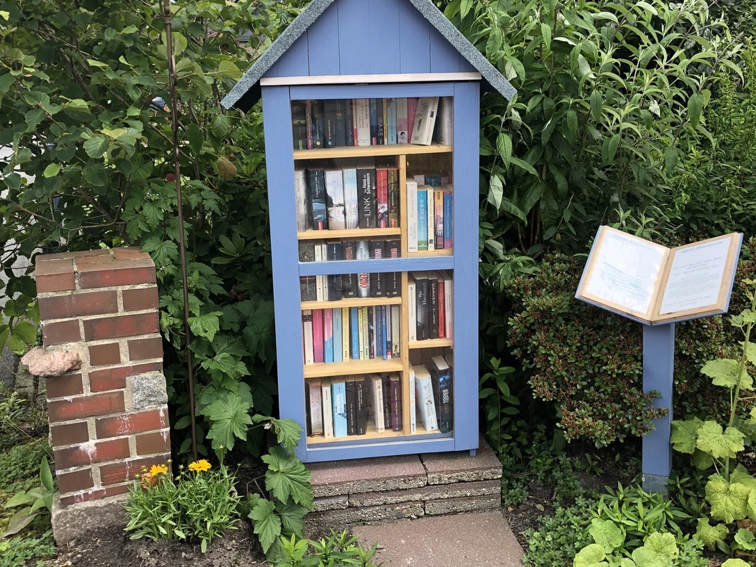 Bild Bücherschrank.jpeg Ein blauer Bücherschrank thront idyllisch zwischen üppigem Grün, mit bunt gemischten Büchern und gepflastertem Boden davor.