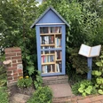 Bild Bücherschrank.jpeg Ein blauer Bücherschrank thront idyllisch zwischen üppigem Grün, mit bunt gemischten Büchern und gepflastertem Boden davor.