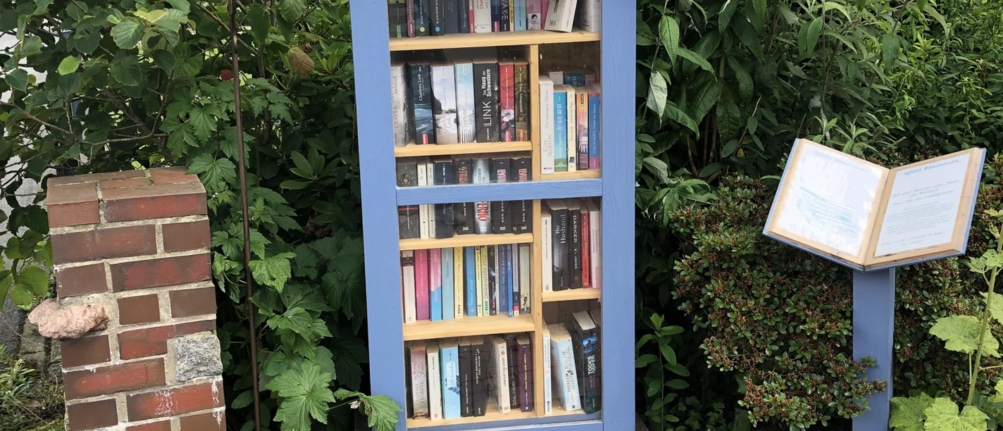 Bild Bücherschrank.jpeg Ein blauer Bücherschrank thront idyllisch zwischen üppigem Grün, mit bunt gemischten Büchern und gepflastertem Boden davor.