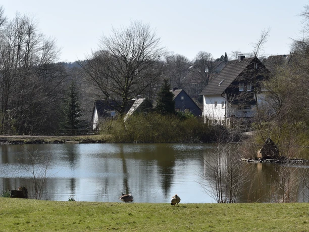 Heilteich <p>Idyllischer See mit Enten im Vordergrund, umgeben von Bäumen und Häusern in Marienheide.</p>