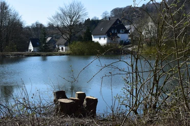 Heilteich <p>Ein stiller See mit Baumstümpfen im Vordergrund und Häusern am bewaldeten Ufer in Marienheide.</p>