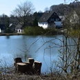Heilteich <p>Ein stiller See mit Baumstümpfen im Vordergrund und Häusern am bewaldeten Ufer in Marienheide.</p>