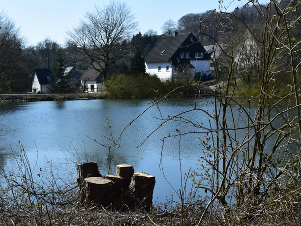 Heilteich <p>Ein stiller See mit Baumstümpfen im Vordergrund und Häusern am bewaldeten Ufer in Marienheide.</p>