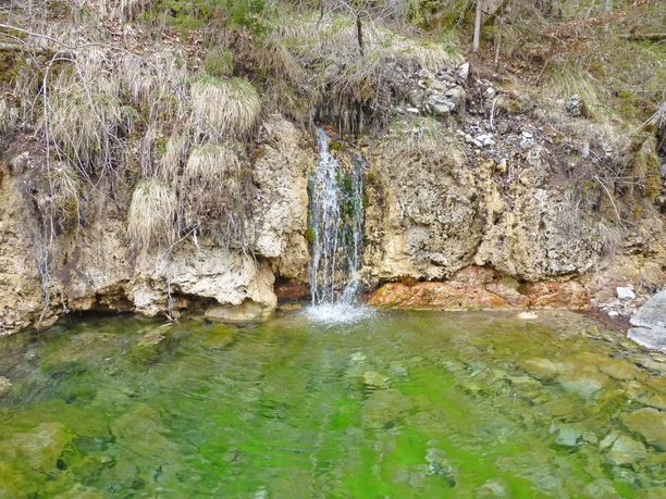 Une petite cascade se jette dans un étang aux eaux verdâtres