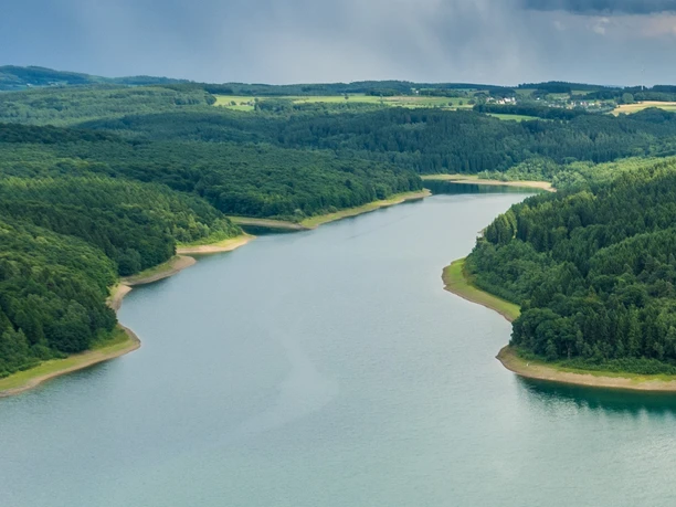 Blick auf den Auchel-Fjord Luftaufnahme eines kurvenreichen Sees umgeben von dichten Wäldern und sanften Hügeln im Landschaftspanorama.