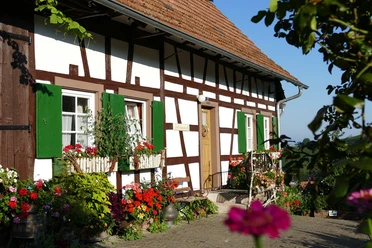P1070451 WEB