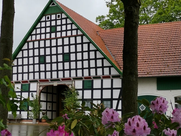 Hof Husemeyer Fachwerkhaus mit rotem Dach, prächtigen Rododendren im Vordergrund und grünen Bäumen im Hintergrund.