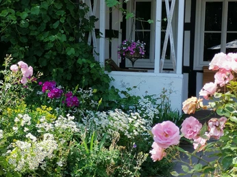 Hof Husemeyer Rosen und Pflanzen umrahmen den Eingang eines Fachwerkhauses mit hölzernem Zaun und schattigem Vorbau.