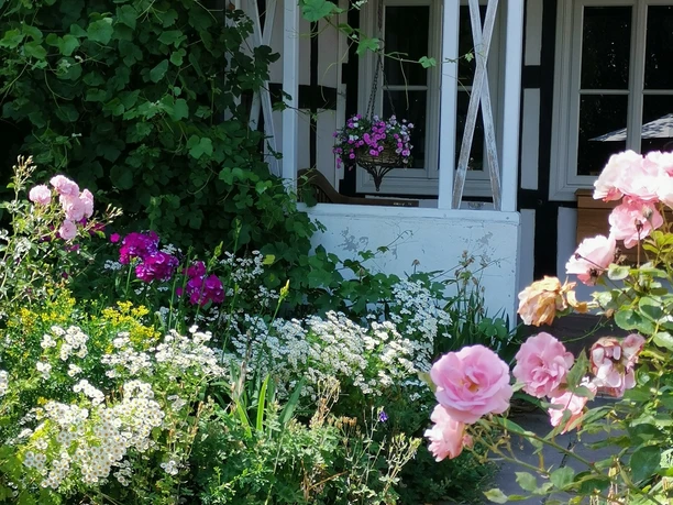 Hof Husemeyer Rosen und Pflanzen umrahmen den Eingang eines Fachwerkhauses mit hölzernem Zaun und schattigem Vorbau.